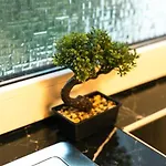 2 Mit Whirlpool
