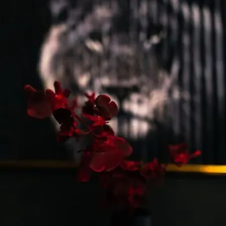 2 Mit Whirlpool Lejlighed Hagen (Arnsberg)