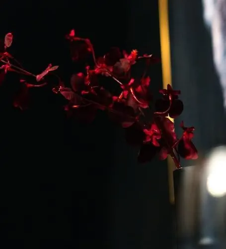 Appartement 2 Mit Whirlpool *