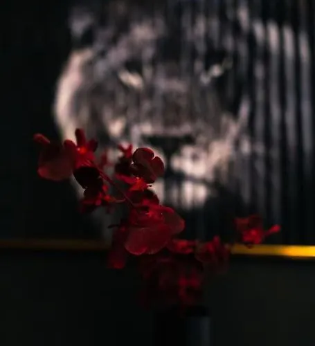 2 Mit Whirlpool Lejlighed Hagen (Arnsberg)